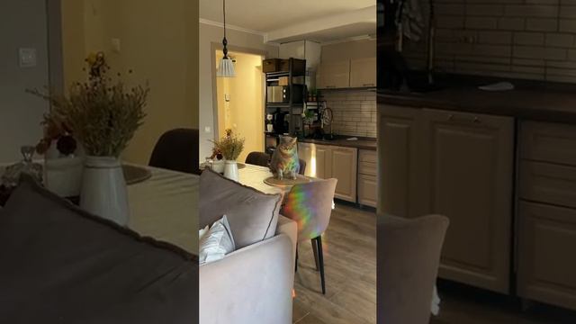 прикол смотреть онлайн