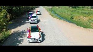 Ролек STUDIO ZIYO.