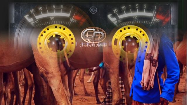 Faarax Guuleed iyo Khadija Qalanjo | Geenyadii Bureeqaay смотреть онлайн