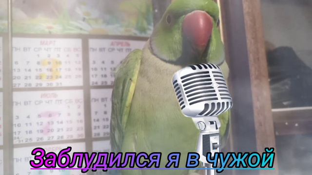 АЖЕРКА - Ариадна