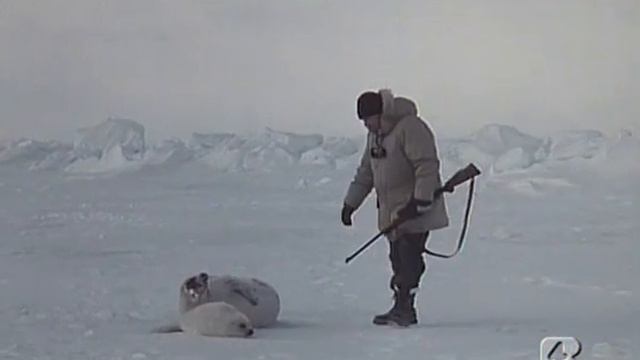 Grandi Cacciatori 1988 Klaus Kinski, Harvey Keitel, Directed By Augusto Caminito