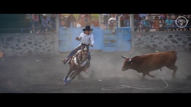EL ARTE DEL JARIPEO BRAVO "EL PAJARO DE SAN MARTIN" смотреть онлайн