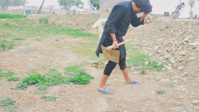 Holiday | Funny Movie | Government Job