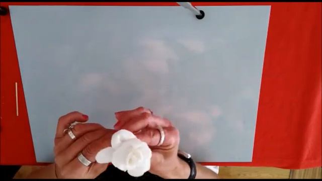 rosa de sant jordi 1R смотреть онлайн