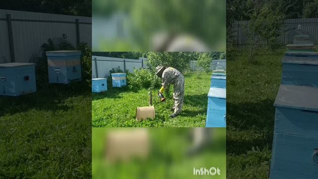 Супер сложная поимка роя) смотреть онлайн