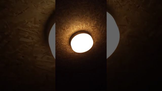 Смешной двоюродный брат Данил