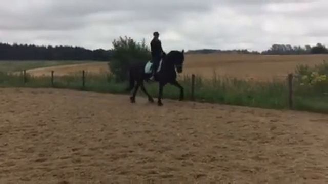 Marko Van de hedeaas смотреть онлайн