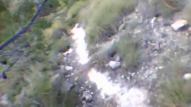TOBOGANES DEL PANTANO