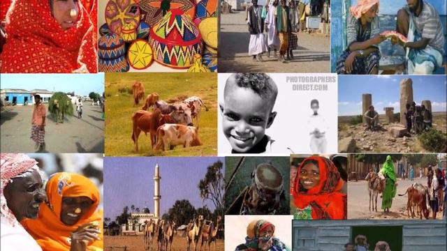 Saane Eritrea Saane | Ahmad Mansur | Saho смотреть онлайн