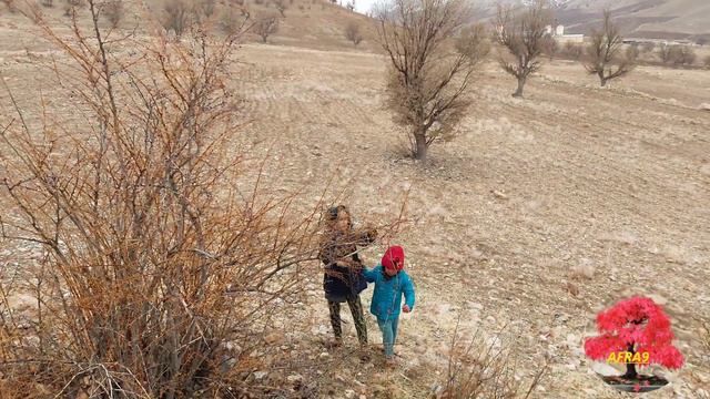 Chill Shelter: A Nomad's Quest To Create A Home In The Winter Wilderness