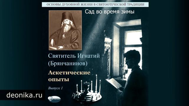 16. Сад во время зимы