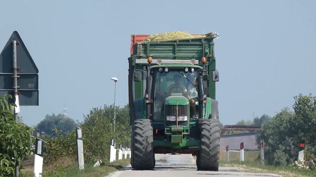 CLAAS Jaguar 990 Black Edition | Insilato Mais 2019 | TEAM LITTAME'