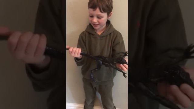 Indo Raptor With Harrison Rex