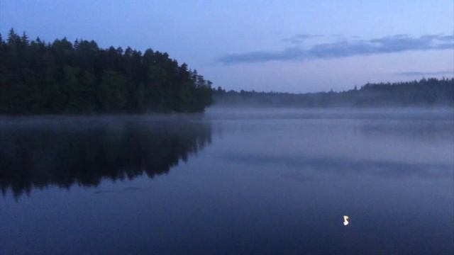 AINO VENNA - KESÄYÖ смотреть онлайн