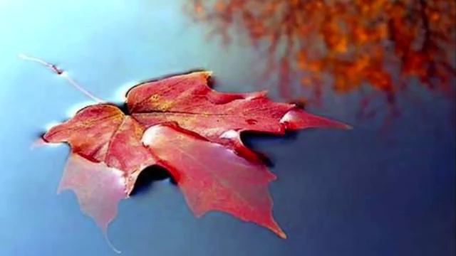 Jose Luis Perales PODRE OLVIDAR