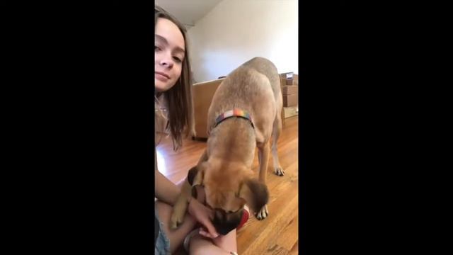 2020 DSA Band Senior Video смотреть онлайн
