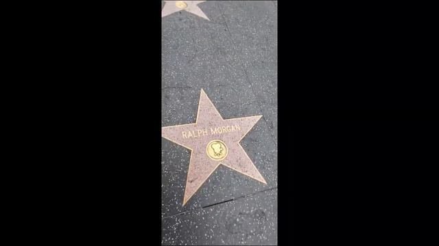 RALPH MORGAN EVERY STAR HAS A STORY WITH HOLLYWOOD HOLLYWOOD HAPPENINGS смотреть онлайн