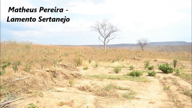 Matheus Pereira - Lamento Sertanejo смотреть онлайн