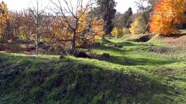 Damenweg / Chemin des Dames & Verdun (auch auf deutsch) смотреть онлайн