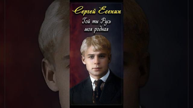 Гой ты, Русь, моя родная - Сергей Есенин (читает Павел Севостьянов) #shorts смотреть онлайн