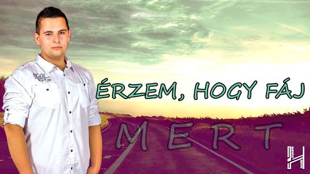 Horváth Zoltán - KI AKAROK TÖRNI (Lyric Video) смотреть онлайн