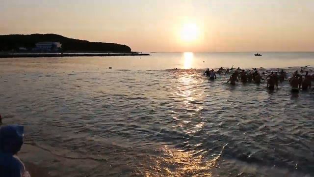 Триатлон лъвско сърце 2018 старт смотреть онлайн