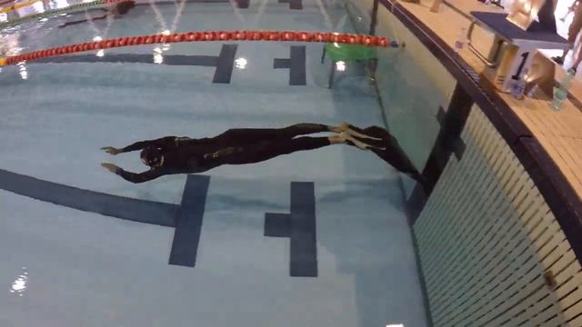 Luciano Morelli   Italy 267,21 Silver Medal DYN M