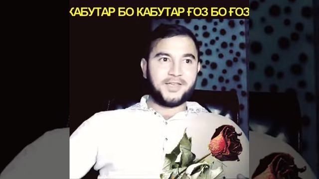 Хама бо хамчинси худ кунад парвоз  Кабутар бо кабутар, гоз бо го
