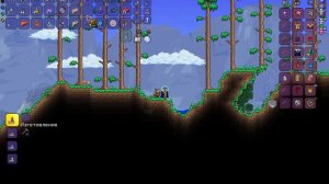 Как получить крылья птенца в Террарии? Сид!