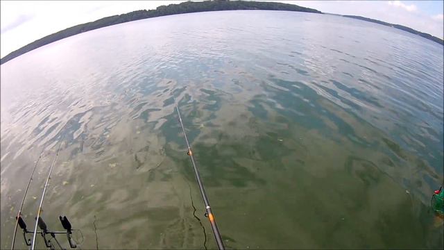 Žvejyba Kauno Mariose.Ловля крупного леща на донку