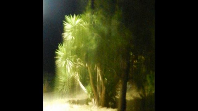 Mihalis Sifakis - 4 NOTTURNI - Piano Fantasy, Piano Improvisation