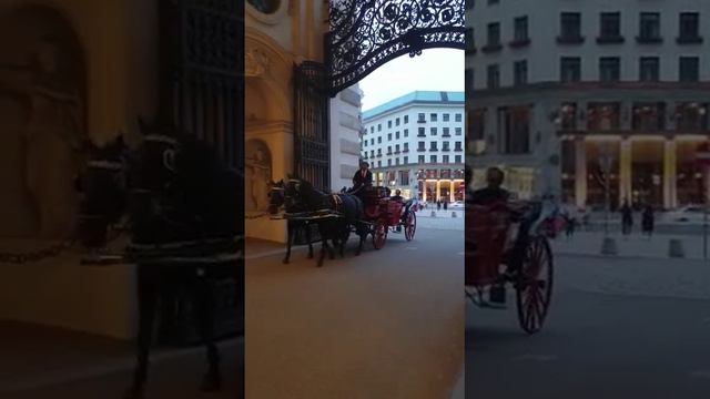 Rikal Fiaker Austria 2023 смотреть онлайн