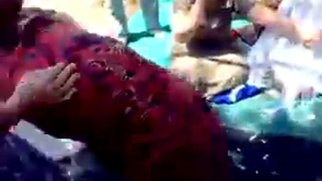 Гуштингири чахон