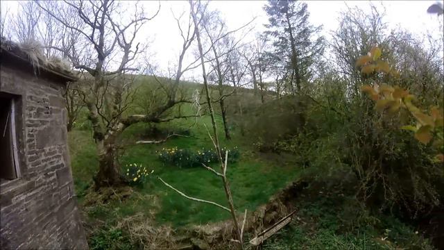 Exploring An Abandoned House With My Gopro