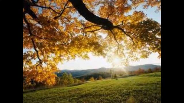 "Nu falmer Skoven trindt om Land" af N. F. S. Grundtvig, reciteret af Visemanden смотреть онлайн