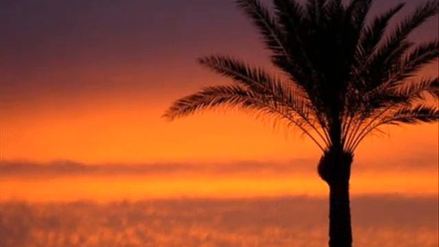 mazhar sindi ali pur sharqi gujrat greece смотреть онлайн