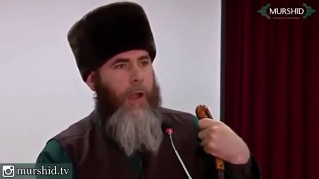 👍👍👍👍👍дал 1алш войл хьо салах