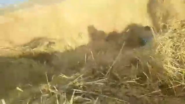 Прыжки на саломе. смотреть онлайн