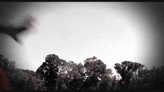 Estrelas SLB - Nelson Évora смотреть онлайн