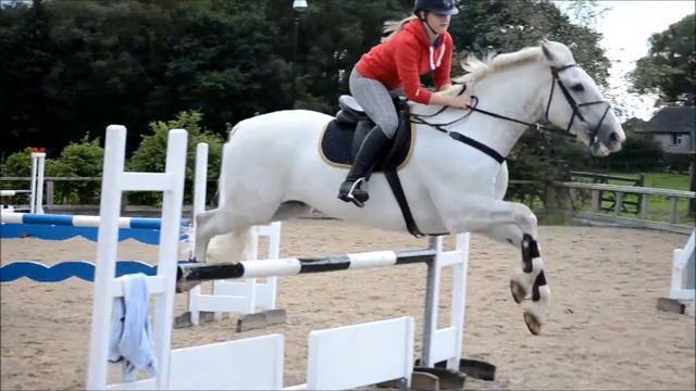 Aggie & Gee Equestrian смотреть онлайн