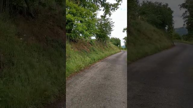 Motivations pour megrir смотреть онлайн