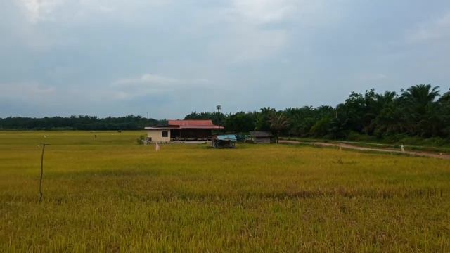 DJI Spark First Flight - Sawah Sagil, Ayer Hitam смотреть онлайн