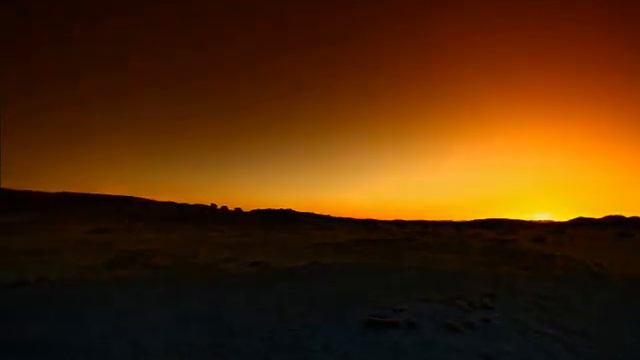 John D. | In The Fake World смотреть онлайн