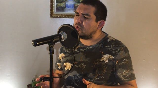 TIENEN QUE SABER/ ORIGINAL STEVE GREEN/ COVER JOSE LUIS ALVARADO смотреть онлайн