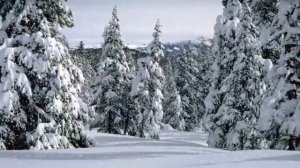 ВАСИЛЯ ФАТТАХОВА "ЯЛГЫЗ МИЛЭШ"