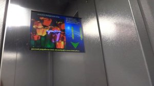 Пассажирские лифты V=1 м-с, Q=400 кг (3422), музыкальный лифт Мослифт