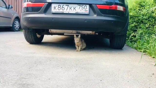 Арман Хачатрян, Екатерина Кисель-Хачатрян смотреть онлайн