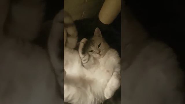Расслабился . смотреть онлайн