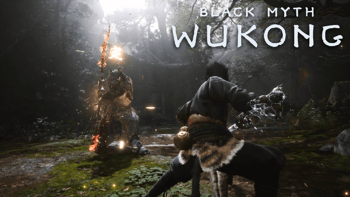 Лучшая игра 2024 (Слуга Тигра) - Black Myth: Wukong #12
