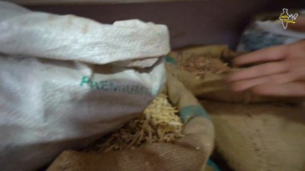 30000/- Rupay Kilo Wali Healthy Jadibooti l Jaipur Street Food